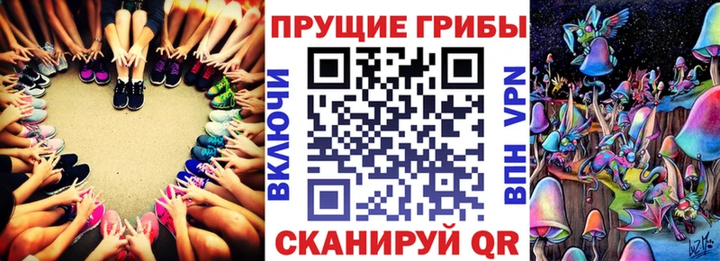Галлюциногенные грибы Psilocybe  как найти   Магадан 